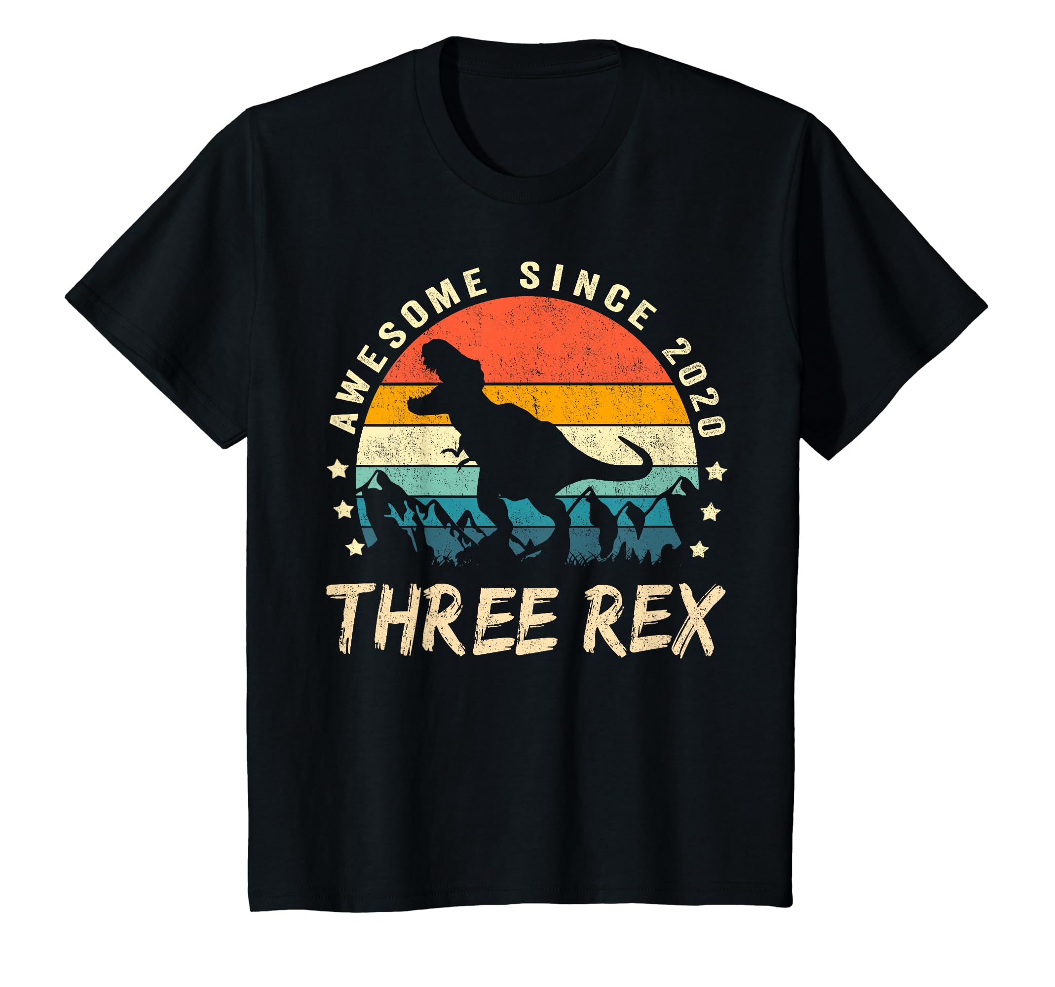 Dinosaur Birthday Shirts Store 2023Three Rex 3rd Birthday Shirt Third Dinosaur 3 Year Old T-Shirt