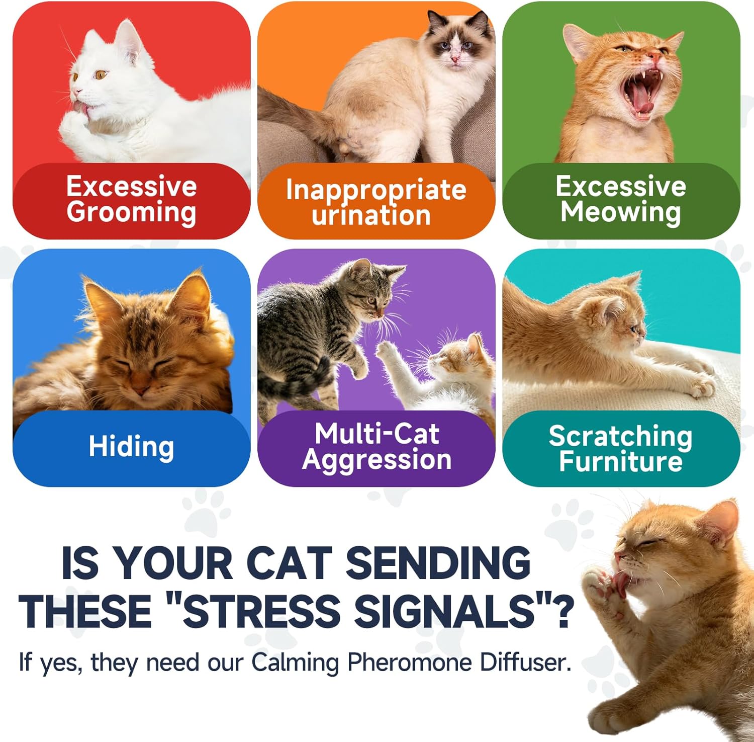 Anti Cat Pee Diffuser Calm Calming Cat Pheromone Pet Diffuser Plug In Spray Relaxer For Cats Anxiety Feromonas Calming Pheromones Relaxing Stress Diffuser Calmer With 4 Refill Peeing Cat Diffusers