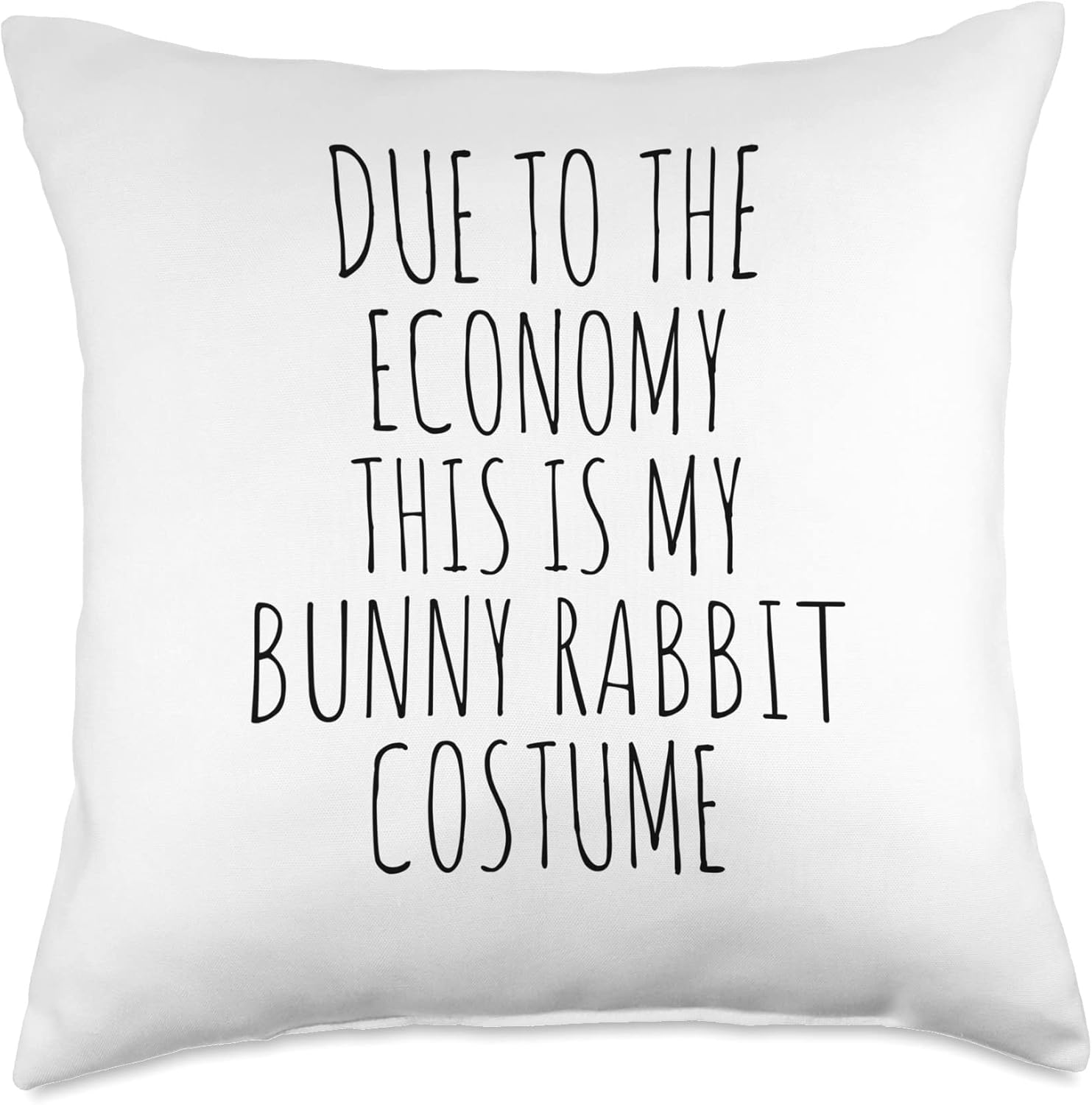 Due To The Economy This Is My Bunny Rabbit Costume Easy