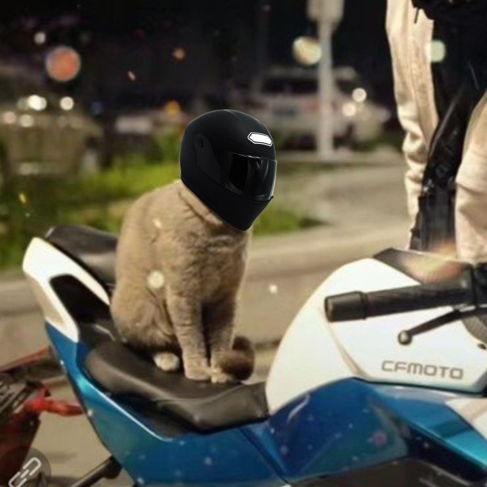 Pet Motorcycle Helmet Dog/Cat Full Face Motorcycle Helmet Outdoor Motorcycle Bike Riding Helmet Hat for Cat Dog Doggie Puppy Kitten Pet Supplies Racing Car Fan Collectible Small Gift : Pet