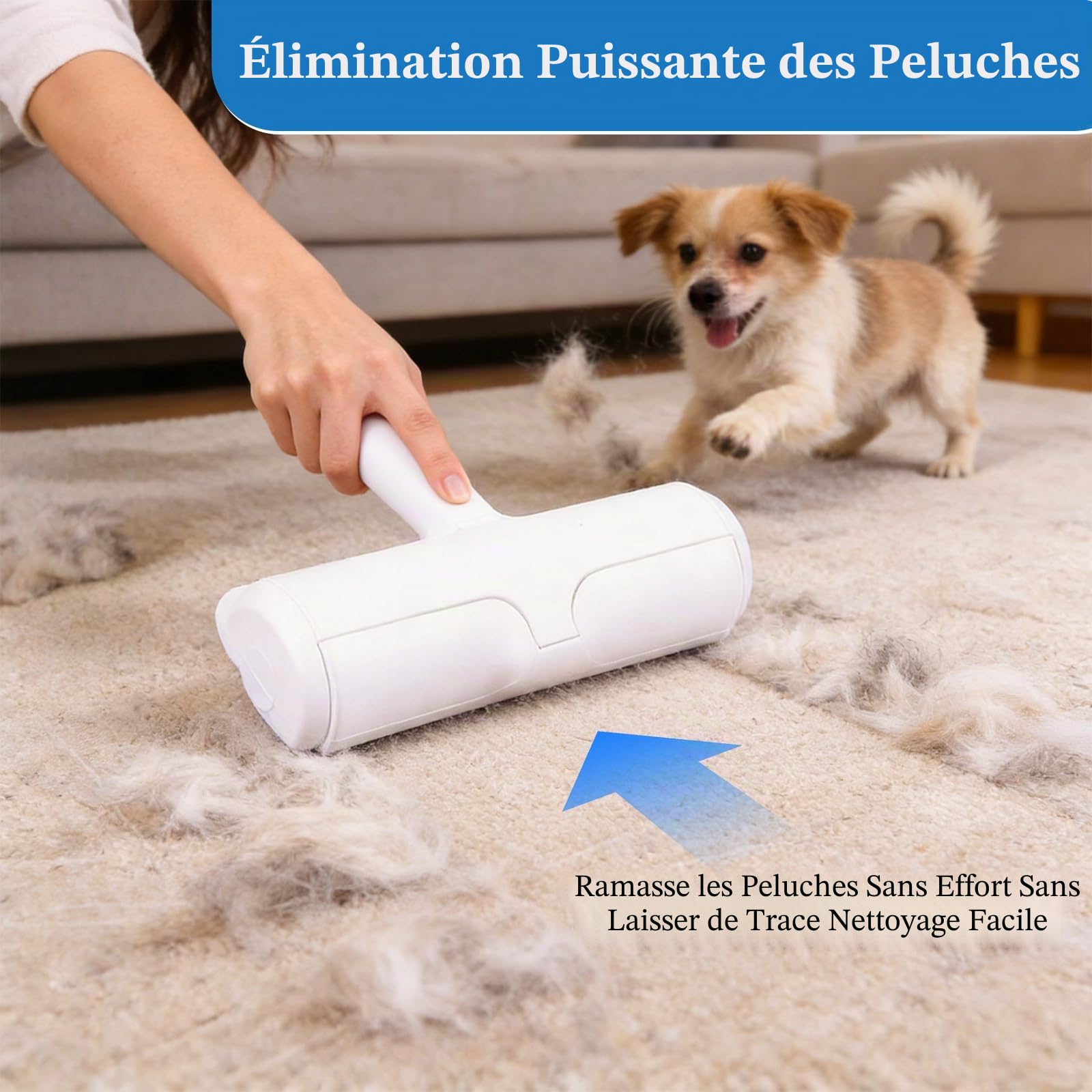 Brosse Anti Poils Animaux Chat Chien, Brosse Ramasse Enlève Poils, Ramasse Poils Animaux, Réutilisable pour Poils, Bouloches Réutilisable, pour Canapé, Arbre à Chat, Voiture, lit, Tapis