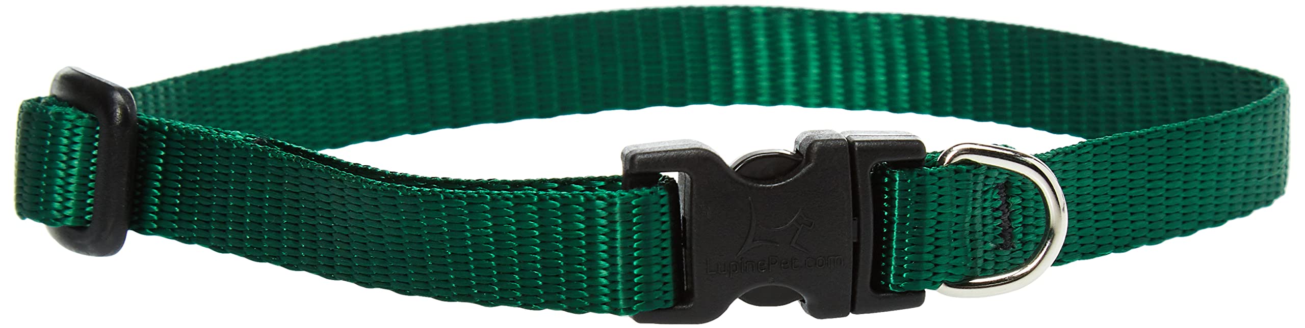 LupinePet Basics 1/2" Green 10-16" Adjustable Collar for Small Dogs
