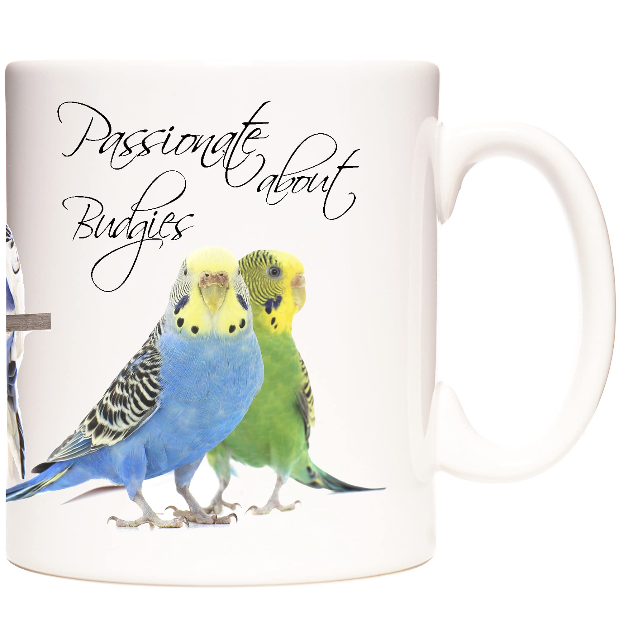Budgerigar Photo Mug, Passionate About Budgies. Lovely Ceramic Gift Mug Featuring Cute Budgies.