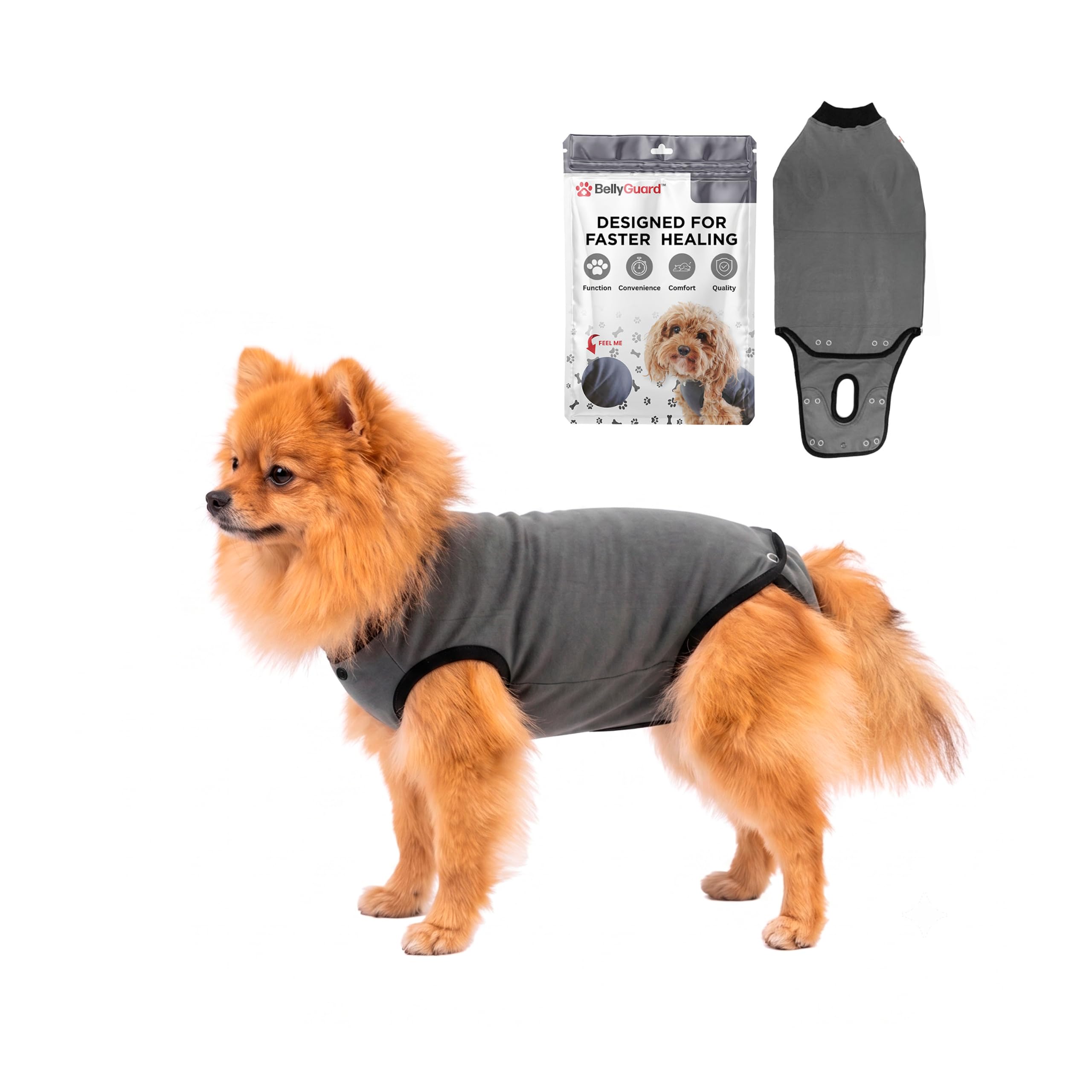 BellyGuard Dog Surgery Recovery Suit, Male Female After Spay Neuter Onesie