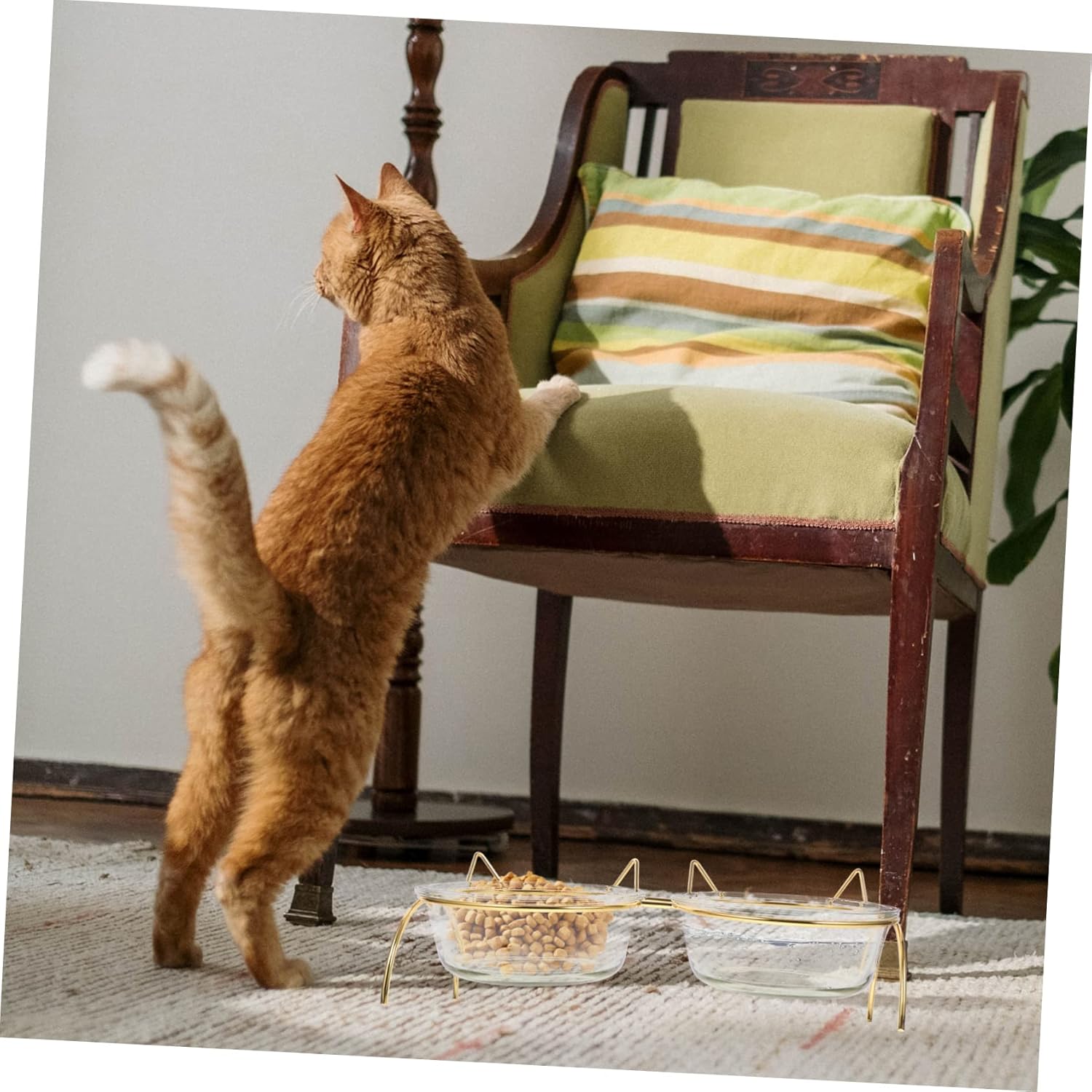 GALPADA Elevated Cat Feeding Bowl Frame Reduces Neck Burden Digestion Includes Bowls for Food and Water