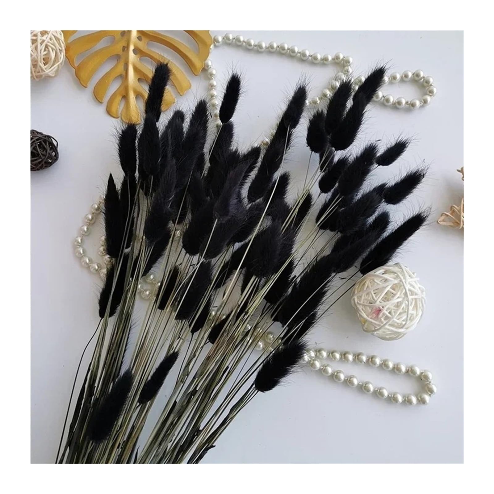 Generico 50/100 pièces d'herbe naturelle de queue de lapin, fleurs séchées pour bouquet de mariée, décoration intérieure et photographie(noir, 100PCS)