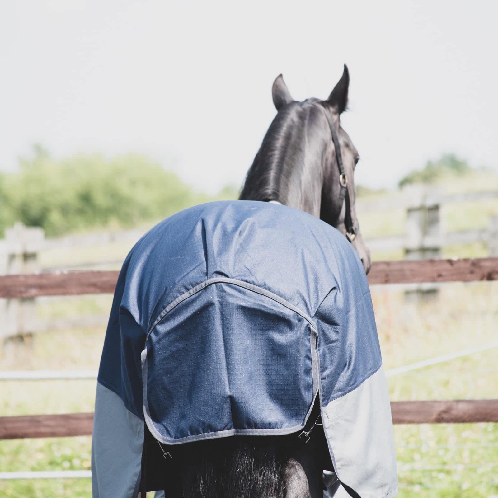 Equitack 1200D Winterdecke Pferdedecke, 145cm | 100g Regular Regendecke Pferd mit Fleece | wasserdichte Outdoordecke Pferd | Navy/Grau