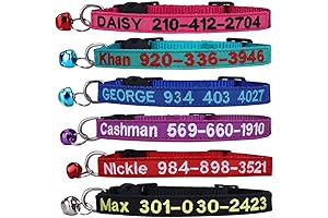 Personalized Cat Collar with Breakaway Buckle, Nylon ID Collar with Custom Embroidered...
