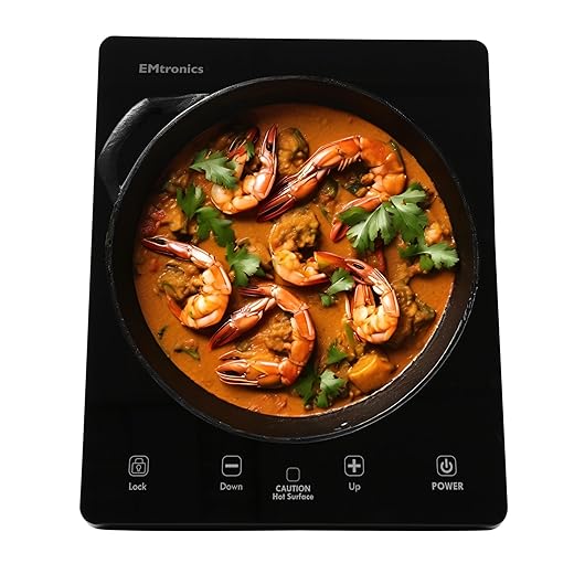 EMtronics 2000W Induction Cooker Hob