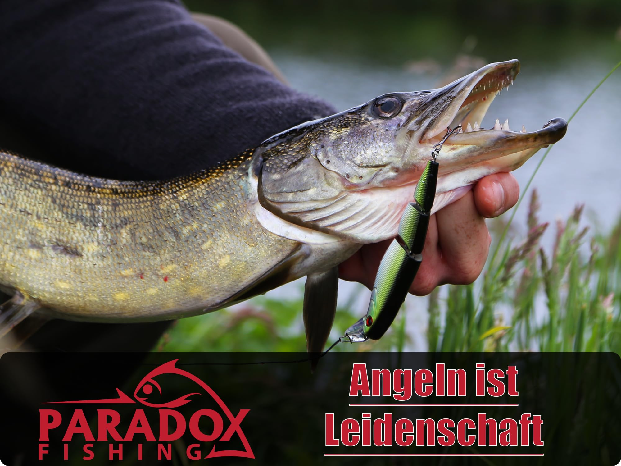 Paradox Fishing Szczelina do szczupaków 29 cm I ściągacz do haczyków wędkarskich Szczelina wędkarska Akcesoria wędkarskie połów szczupaków - odporne na korozję