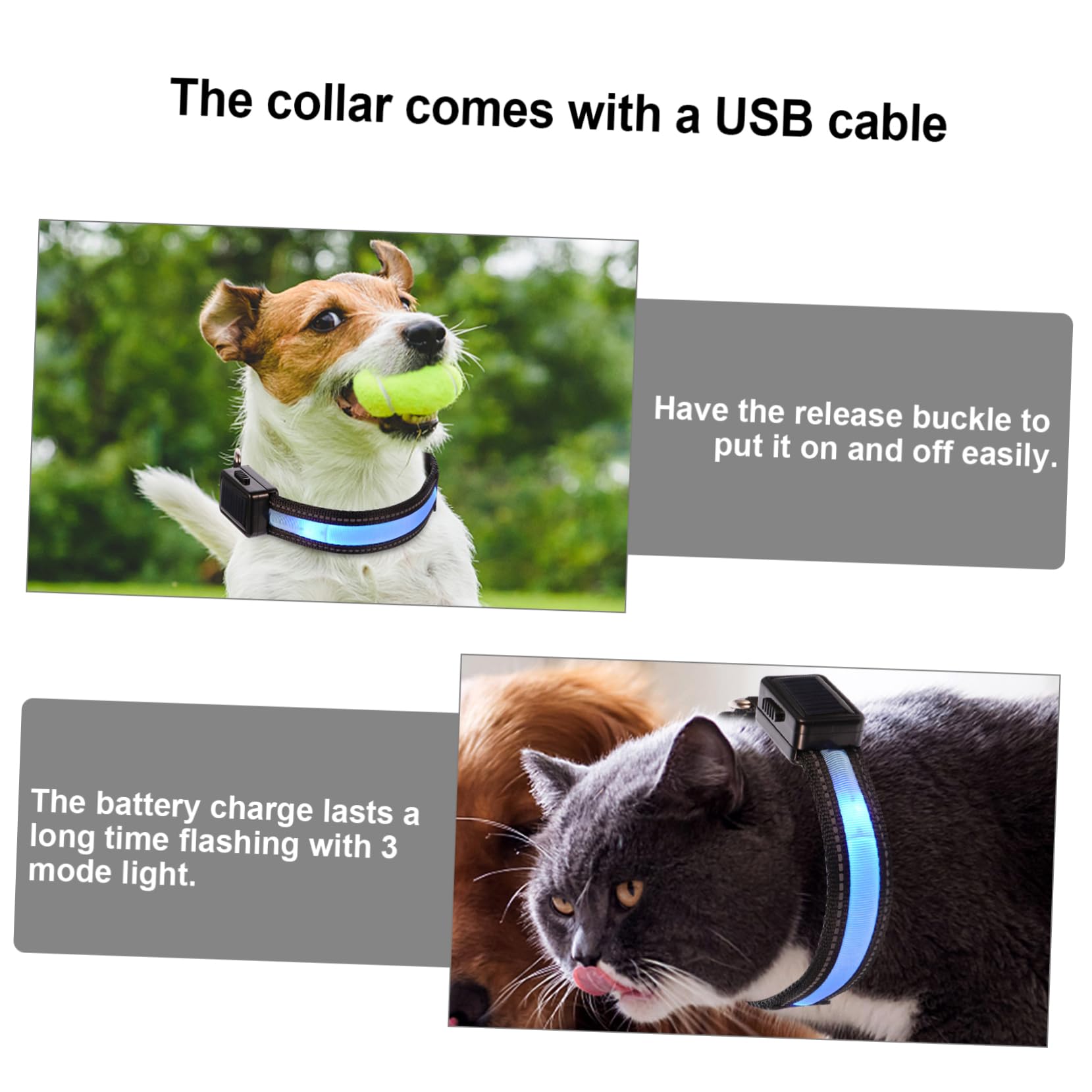 Kisangel 3ensembles Collier LED pour Chien USB Rechargeable Collier Lumineux avec Boucle De Libération pour Promenades Nocturnes Compatible avec Petits Et Chiens