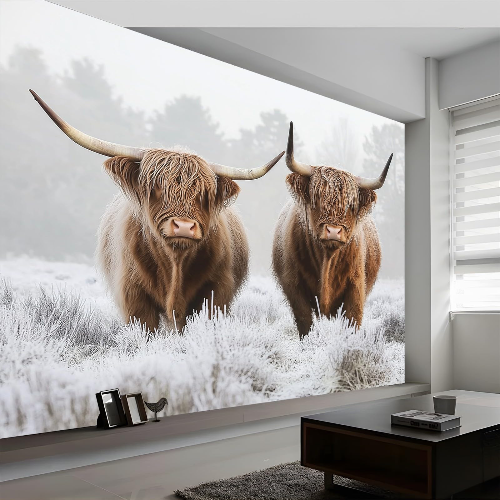 Photo Wallpaper Animal Photography Highland Cows Murals, Light Wall Mural Photo Wallpaper, 500 x 280 cm (W x H) Wallpaper Mural Wall Art for Living Room Bedroom Children's Room Corridor — image 1