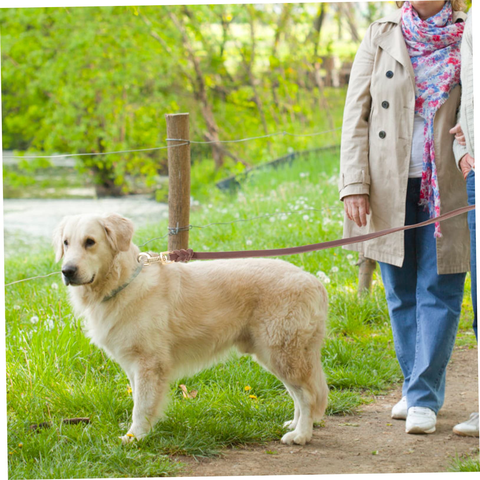 BESPORTBLE 3piezas Correa para Perros Resistentes Cuerda Antitirones para Mascotas De Longitud Gancho para Perros Medianos y Accesorio De Entrenamiento para Paseos Al Aire