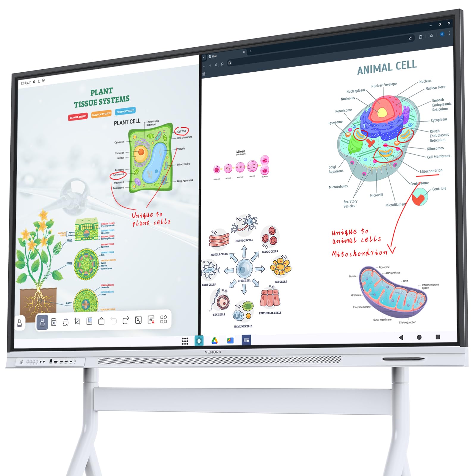 Smart Board, 75" Interactive Whiteboard with Google EDLA Certified
