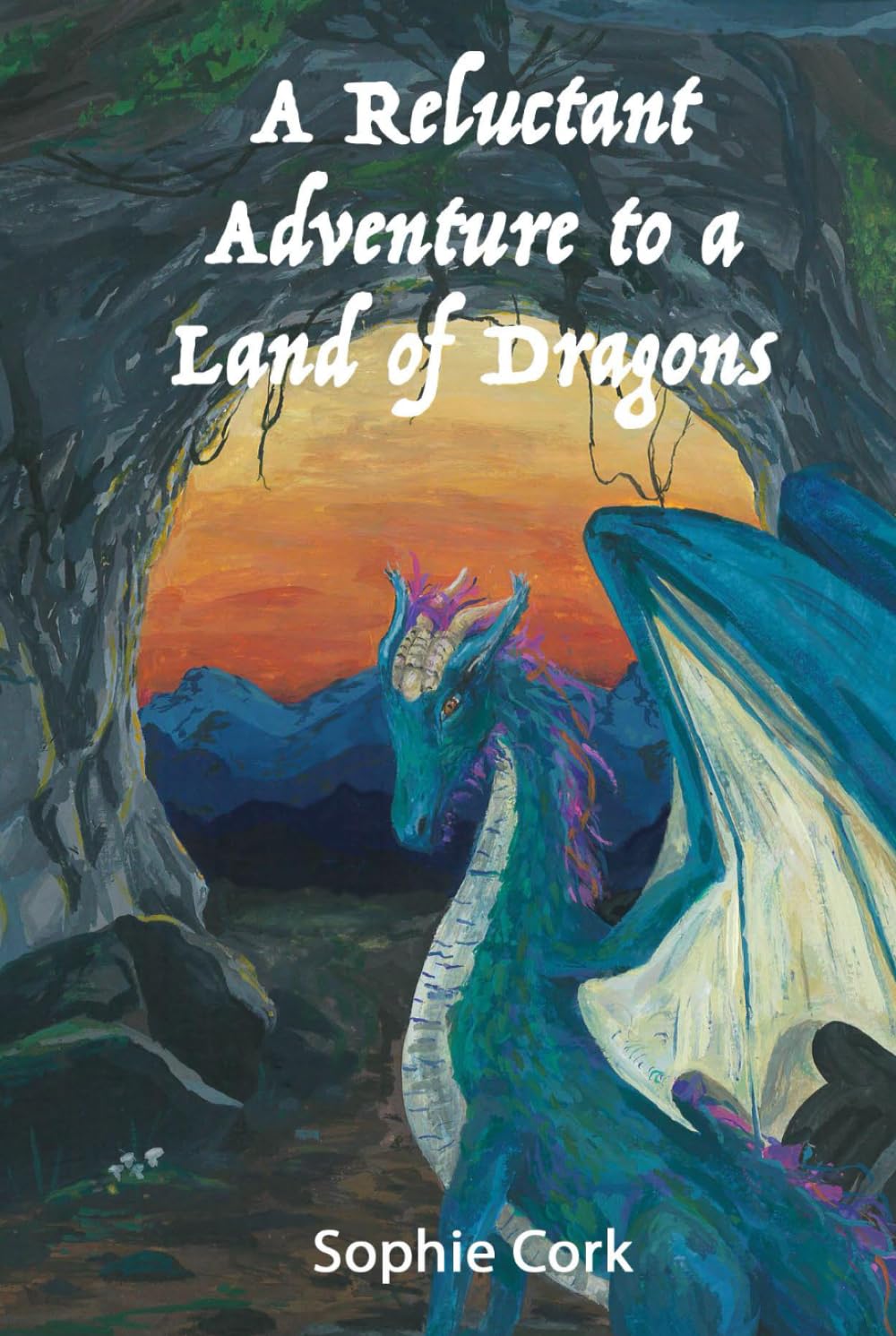 A Reluctant Adventure to a Land of Dragons (The Tales of Termundra)