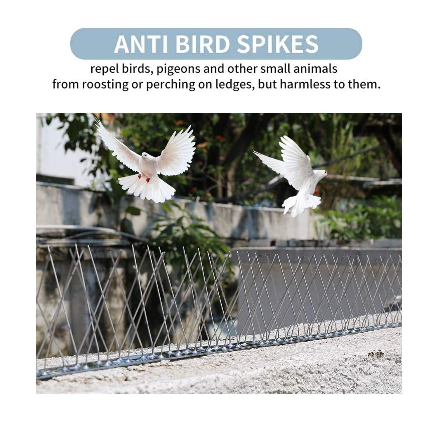 Juego de 5 puntas de acero inoxidable para pájaros. Gran defensa contra las piedras y las aves pequeñas
