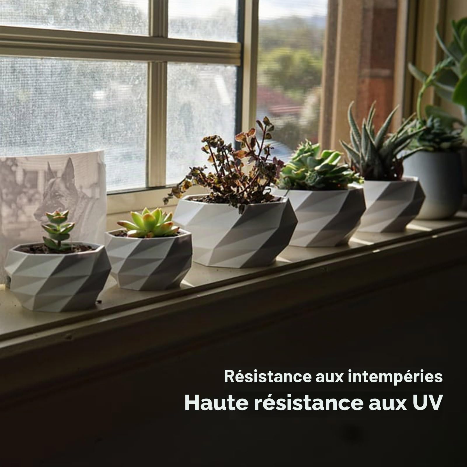 Flashforge Filament ASA 1.75mm, Filaments pour imprimante 3D 1kg Spool-Précision dimensionnelle +/- 0.02mm, Haute résistance aux UV (Naturel, ASA)