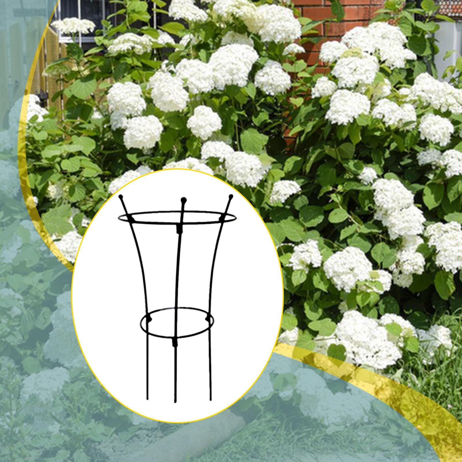 Tuteur Vertical Compact en Fer forgé pour Plantes en Pot, idéal pour, concombres, clématites et Autres Plantes fruitières.