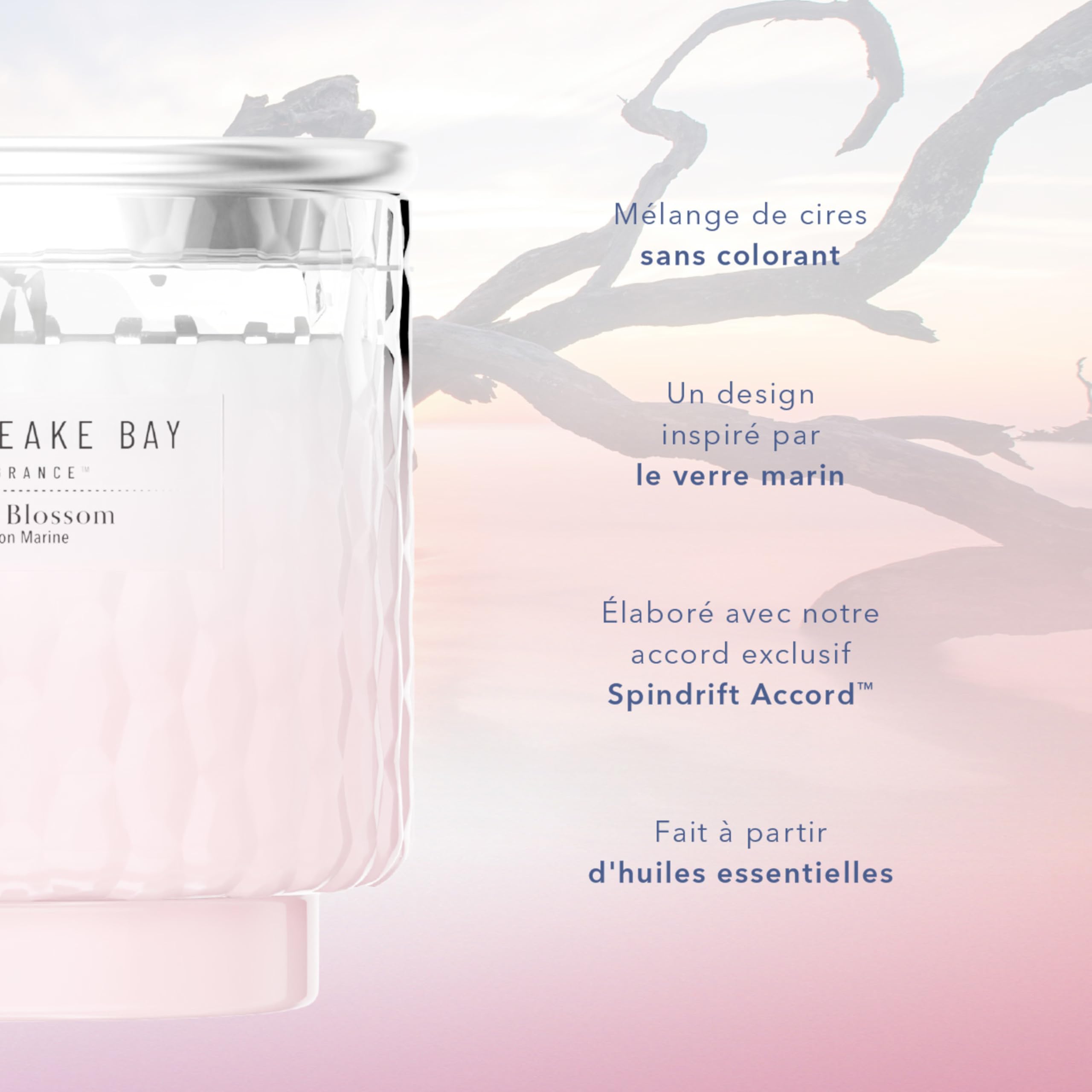 Chesapeake Bay | Diffuseur de parfum à bâtonnets | Fleur d’océan | Superbe cadeau pour les femmes