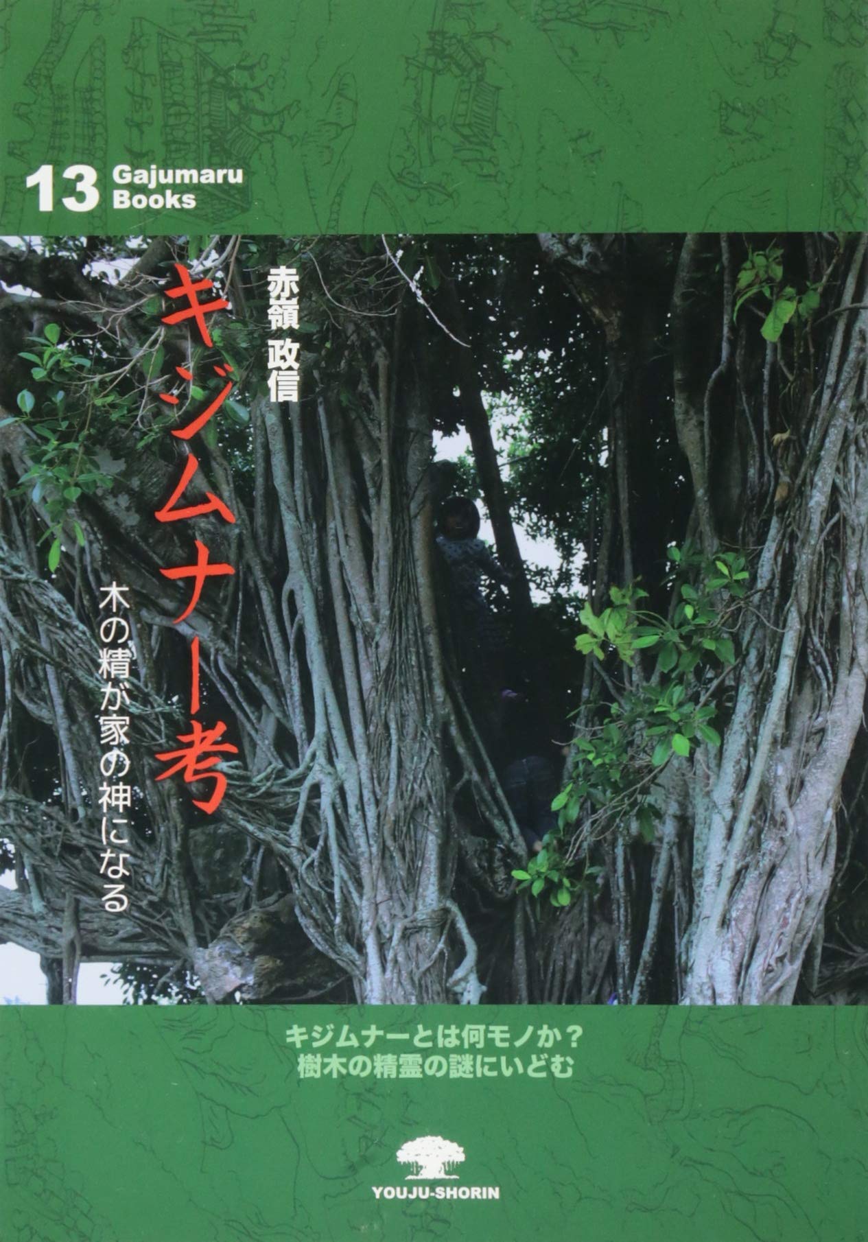 キジムナー考 木の精が家の神になる がじゅまるブックス13 赤嶺 政信 本 通販 Amazon