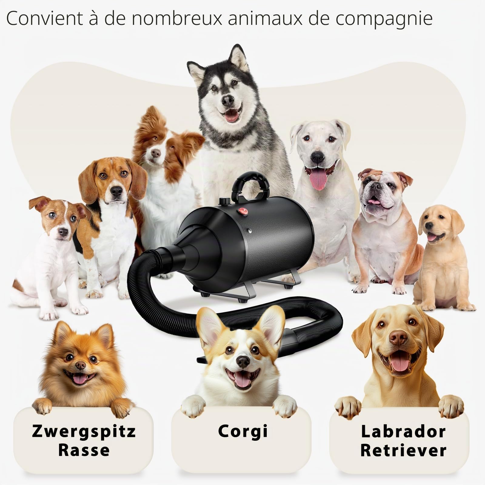 Pulseur pour Chien Blower Professionnel Souffleur Chien Silencieux 3000W réglable - Souffleur de Soins avec 4 Buses différentes et Tuyau élastique,Bleu ciel