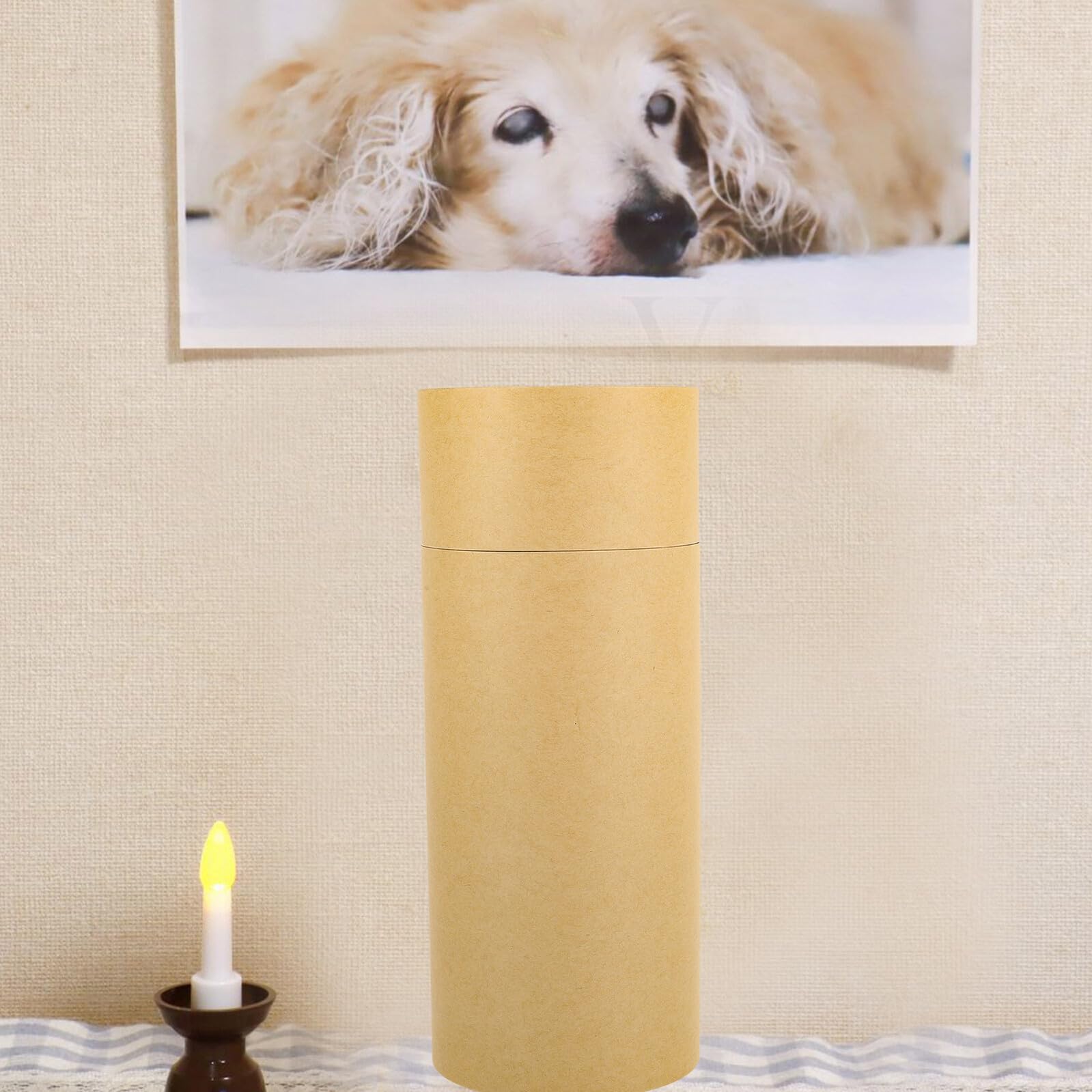 FRCOLOR Urna para Mascotas Biodegradable de Cartón Kraft, Diámetro 10 Cm X 26 Cm, Caja Funeraria para Mascotas, Tubo para Esparcir Cenizas, Urna para Cremación y Memorial de Perros