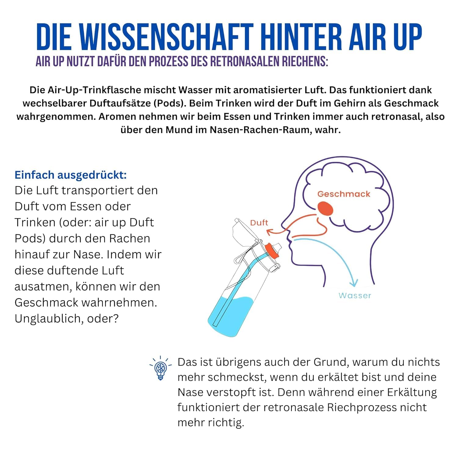 5 x Air Up Pod Original Duft Pods, Best-Plus Probierpaket, für Trinkflasche, 0 Kalorien, kein Zucker, natürliche Aromen (Waldfrucht, Ice Tea Pfirsich, Wassermelone, Kirsche, Apfel)
