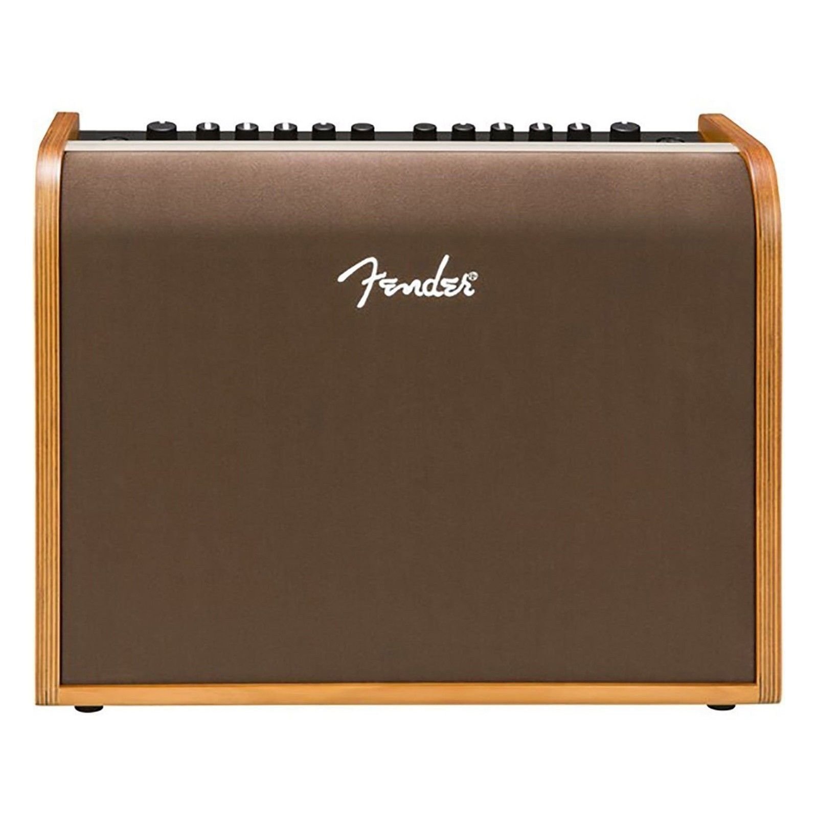 Fender Acoustic 100 Guitar Amp
