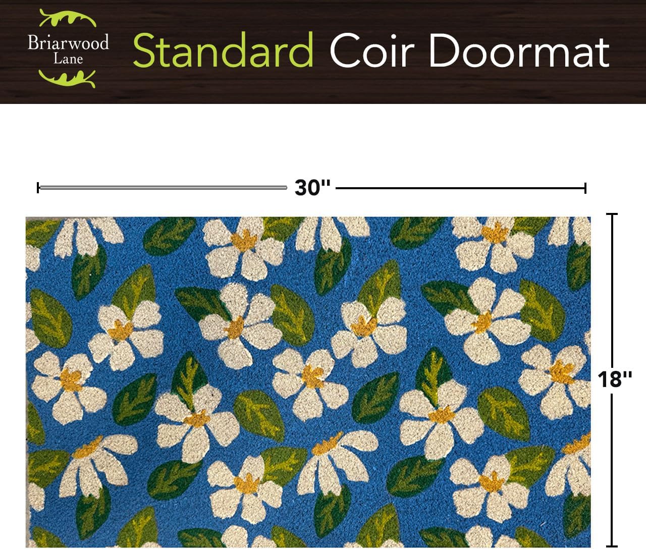 Briarwood Lane Scattered Daisies Coir Doormat 18 x 30