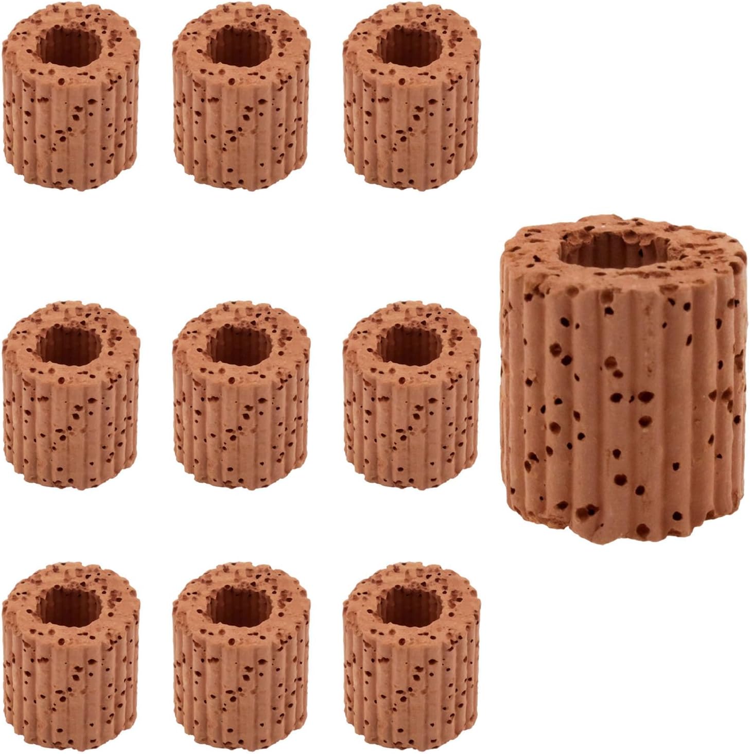 Amazon.com: Wzttdm 6 Pcs Aquatic Water Plant Fixed Rings, Aquarium ...