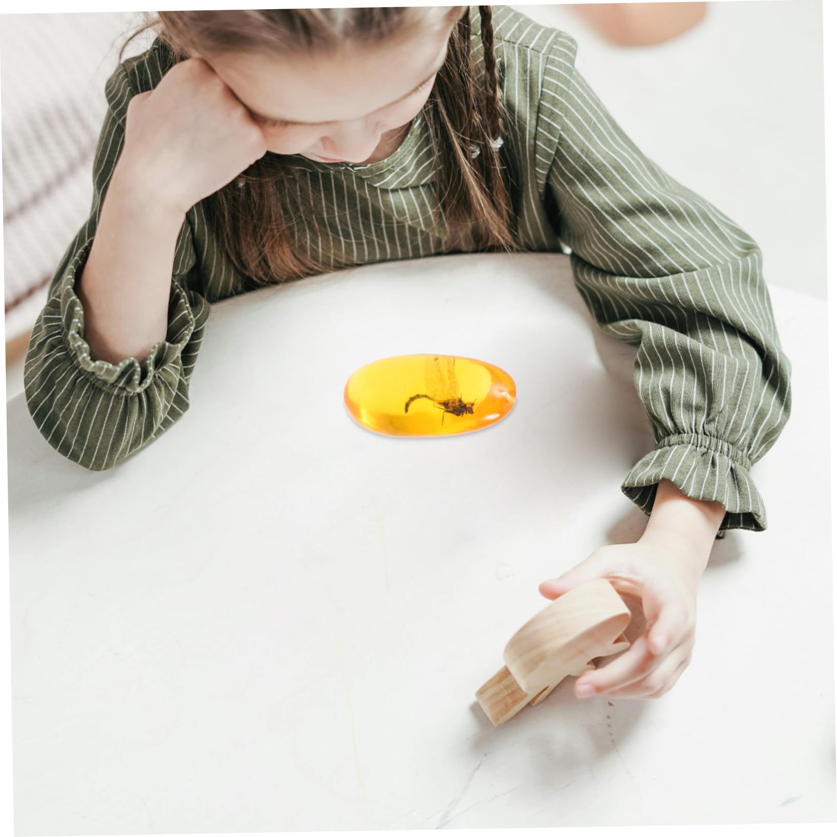 Hohopeti Amber Insect Sample Amber Stone Insect Collection Insect Adornment Amber Adornment Insect Stone Unique Stones Insect Amber Specimen Amber Insect Home Decor Resin