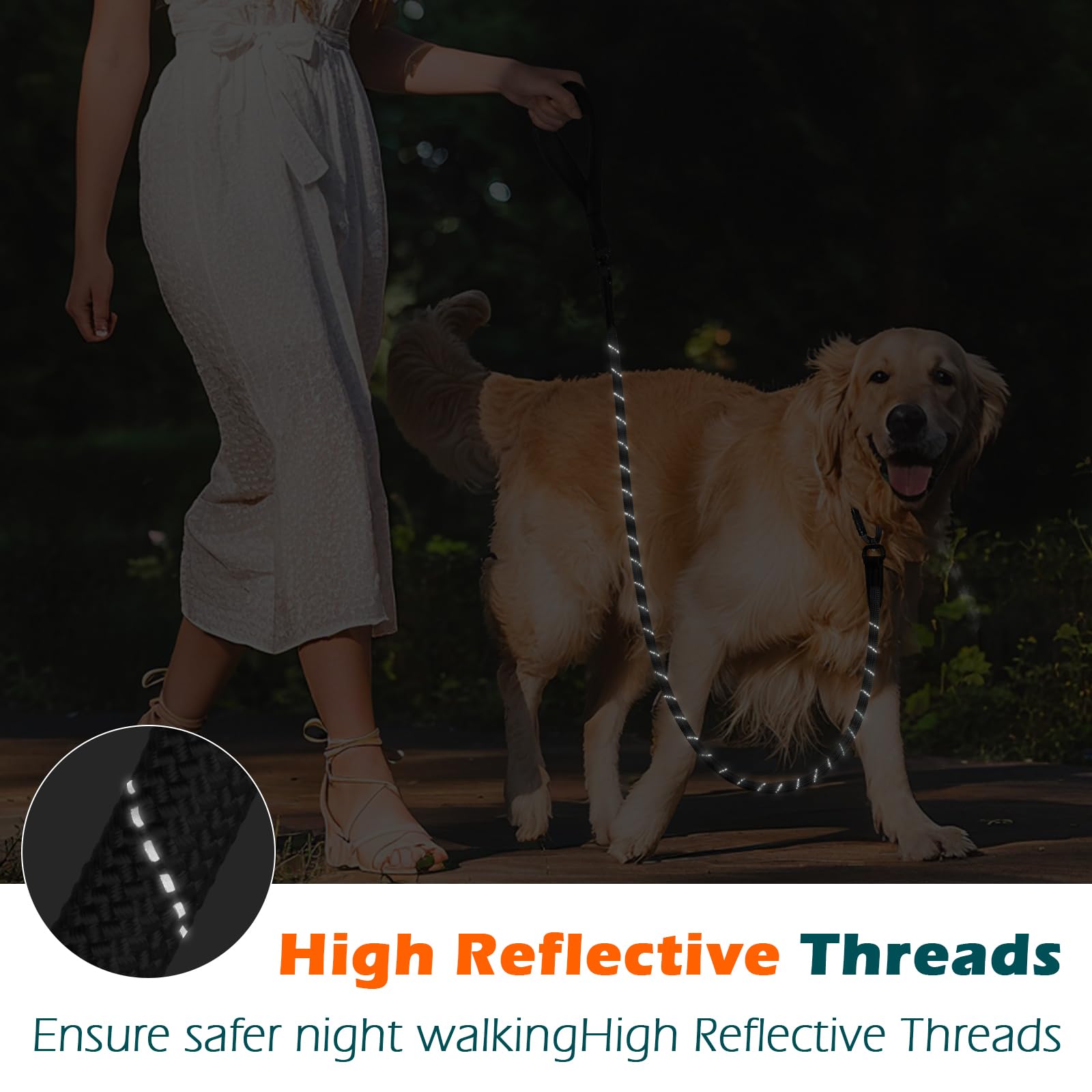 PetBonus Laisse pour Chien, 1.5m Longe pour Chien Robuste avec Mousqueton | Poignée rembourrée confortable, Réfléchissante, Nylon, Promenade, laisse d'entraînement, Adaptée Races Moyennes et Grandes