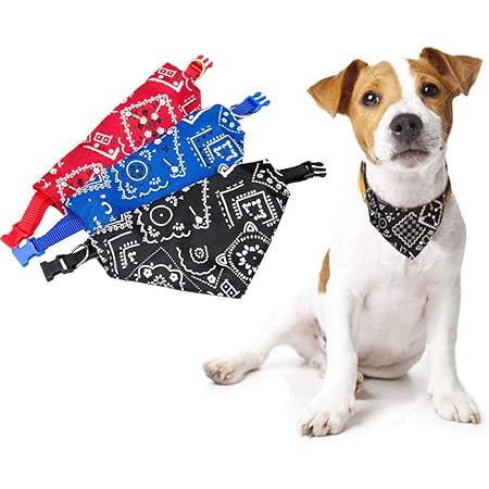 dog neckerchief collar