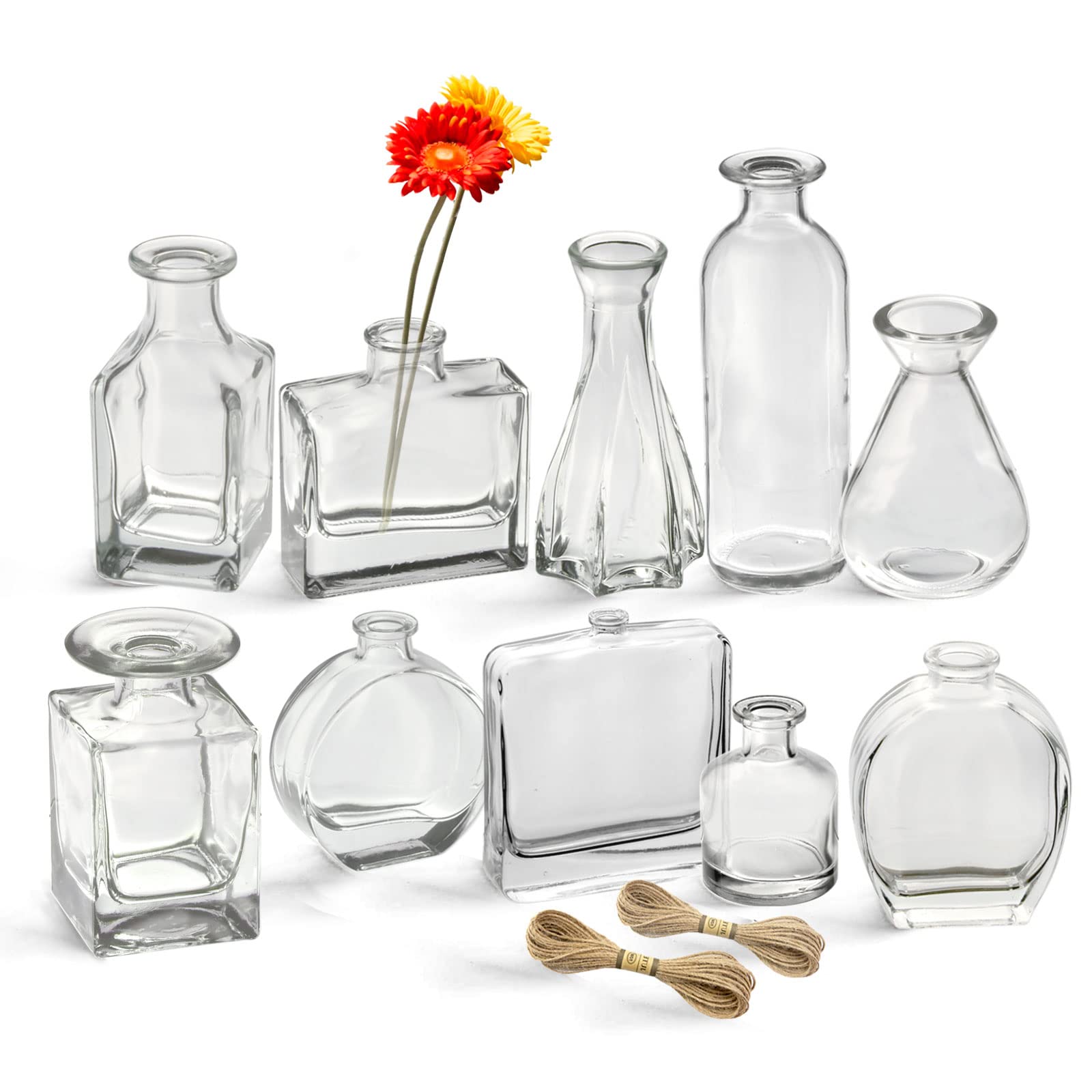 Paisener Bud Vases Set of 10, Small Glass Vase Set, Cute Decorative Bottles for centerpieces, Can be Used as Diffuse Bottles and Apothecary Bottles, Clear Mini Vase Set (Clear, 10)