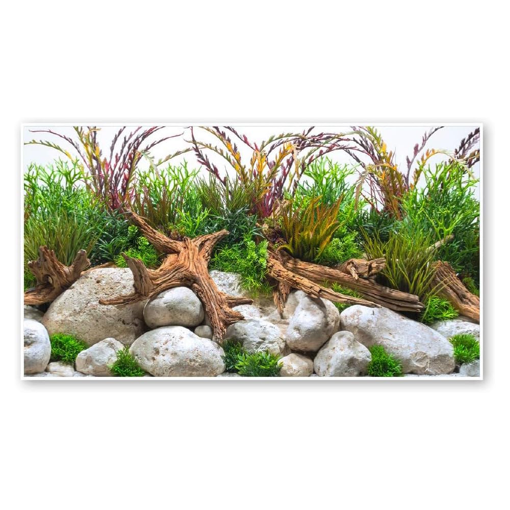 Amtra Sfondo Doppio River - Sfondo Poster per Acquario, Decorazione a Doppia Stampa HD, Double Face, Impermeabile, Formato 30x60 cm