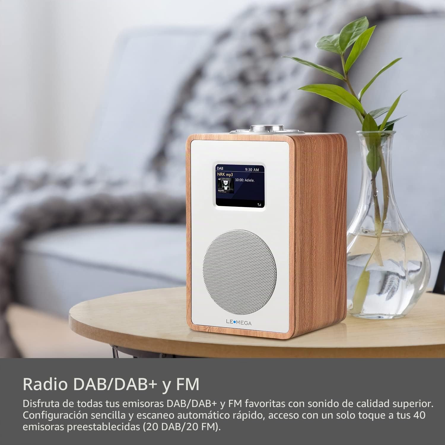 LEMEGA CR4 Radio Dab/Dab+/FM, Bluetooth, Pantalla Color,Nogal