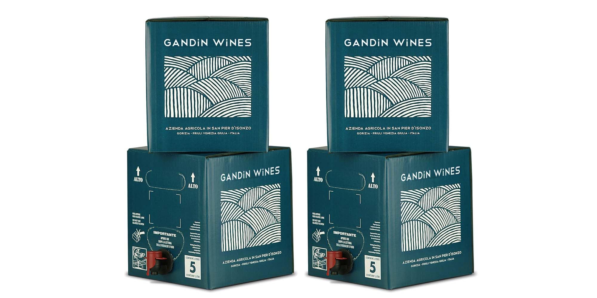 Bag in Box vino Cabernet 2x 5L + Bag in Box vino Merlot 2x 5L - Vigne di Giulia