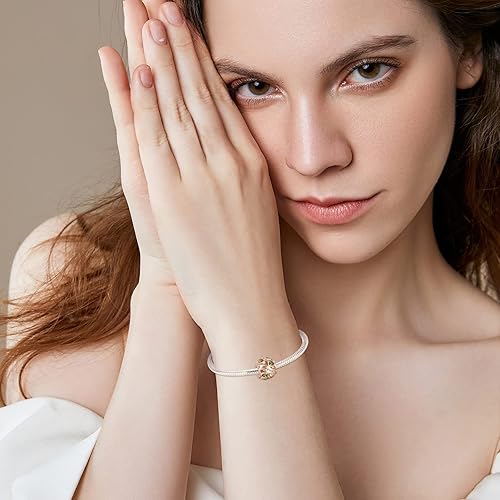 Miniatura 6 de Abalorio de plata de ley 925 con piedra natal de Ningan, abalorio de corazón para pulseras y collares, regalo de cumpleaños para mujeres y niñas