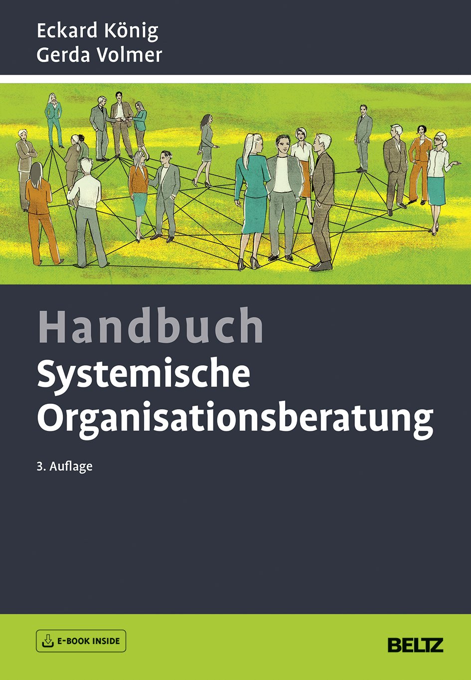 Handbuch Systemische Organisationsberatung: Mit E-Book inside