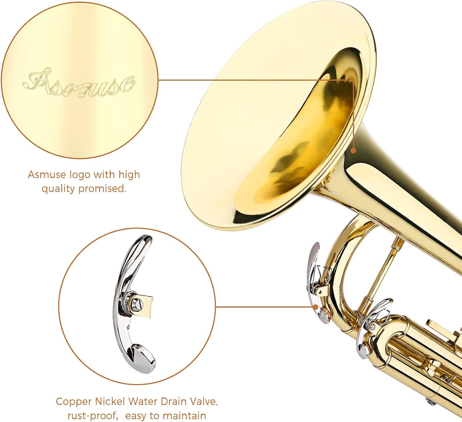Asmuse Bb Standard Trumpet Set for Beginner, Brass Student Trumpet Instrument with Hard Case : Musical Instruments