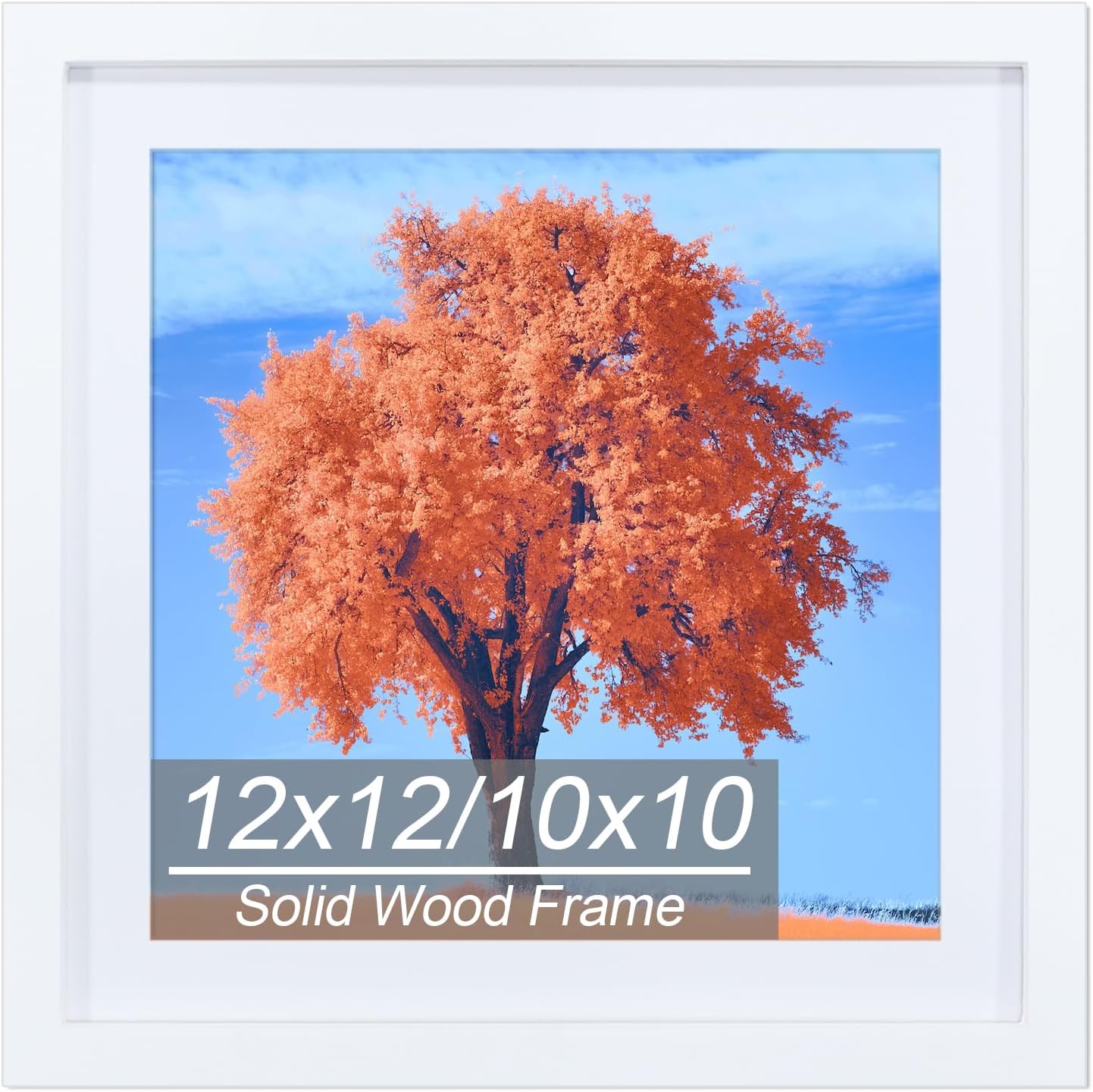 Amazon.com: 12x12 Picture Frame White, Solid Wood Diamond Art Painting ...