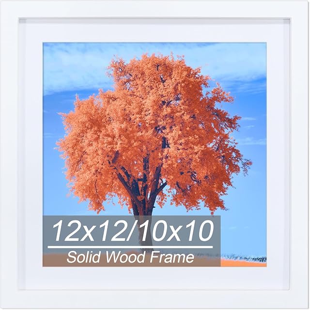 12x12 Cadre d'image blanc, bois massif diamant cadres de peinture d'art 30x30cm, Afficher les images 10x10 avec Mat ou 12 x 12 Sans Mat, 12x12 Cadre pour les photos Affiches Imprimés Oeuvres Puzzles, suspendu mural