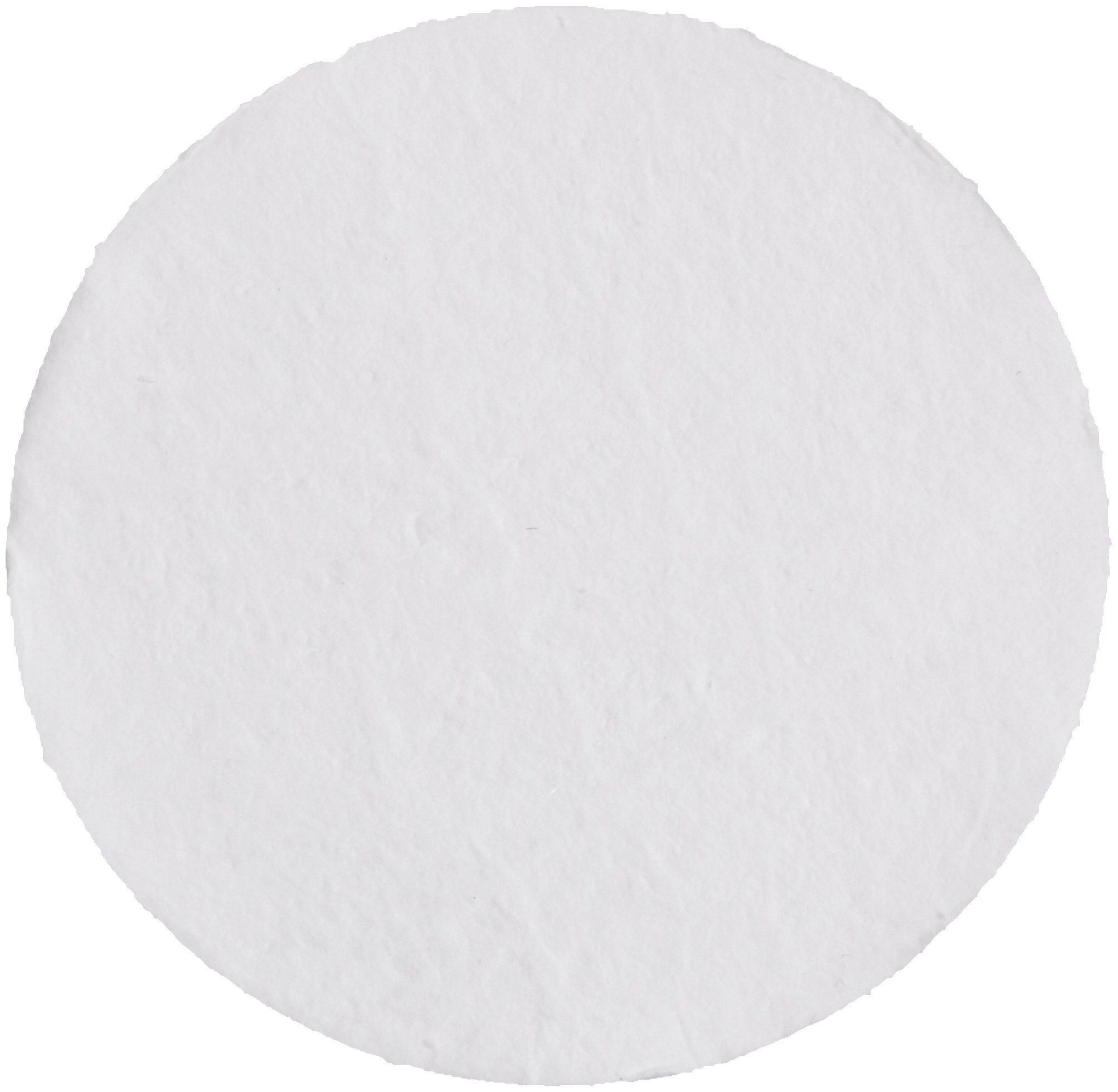 Whatman 10370008 Glass Microfiber Filter with Inorganic Binder, 40 s/100mL Flow Rate, Grade GF 6, 15.0cm Diameter (Pack of 100)