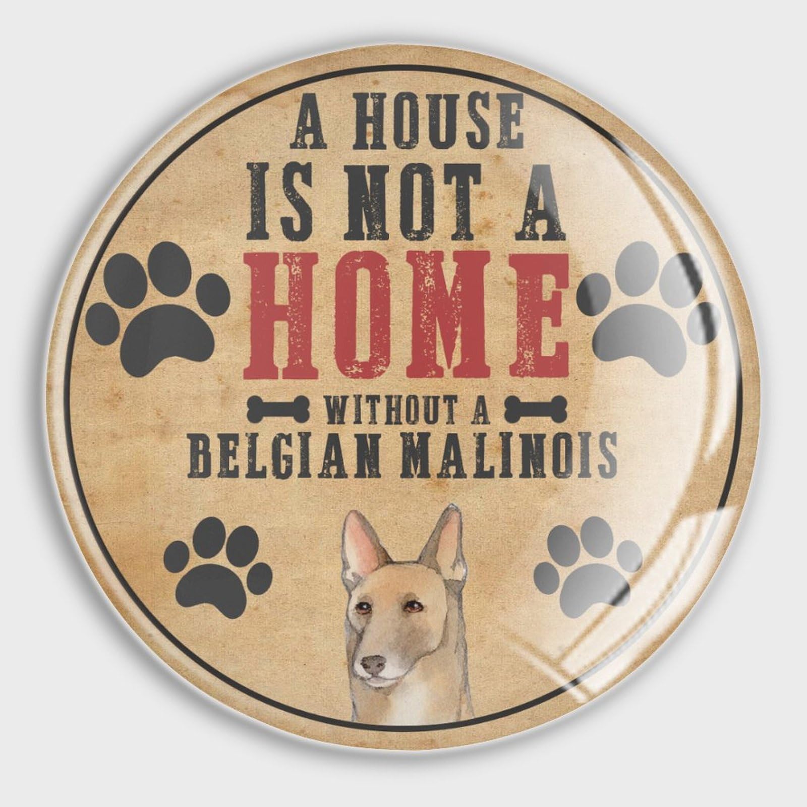 Aimants de réfrigérateur Malinois en verre de qualité