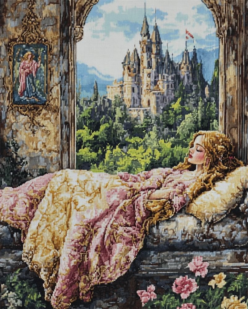 Rqwybcaxn Cross Stitch Kits Stamped,Sleeping Beauty Printed Pattern 14Ct 15.7X19.7inch (40X50cm) Diy Embroidery Kit