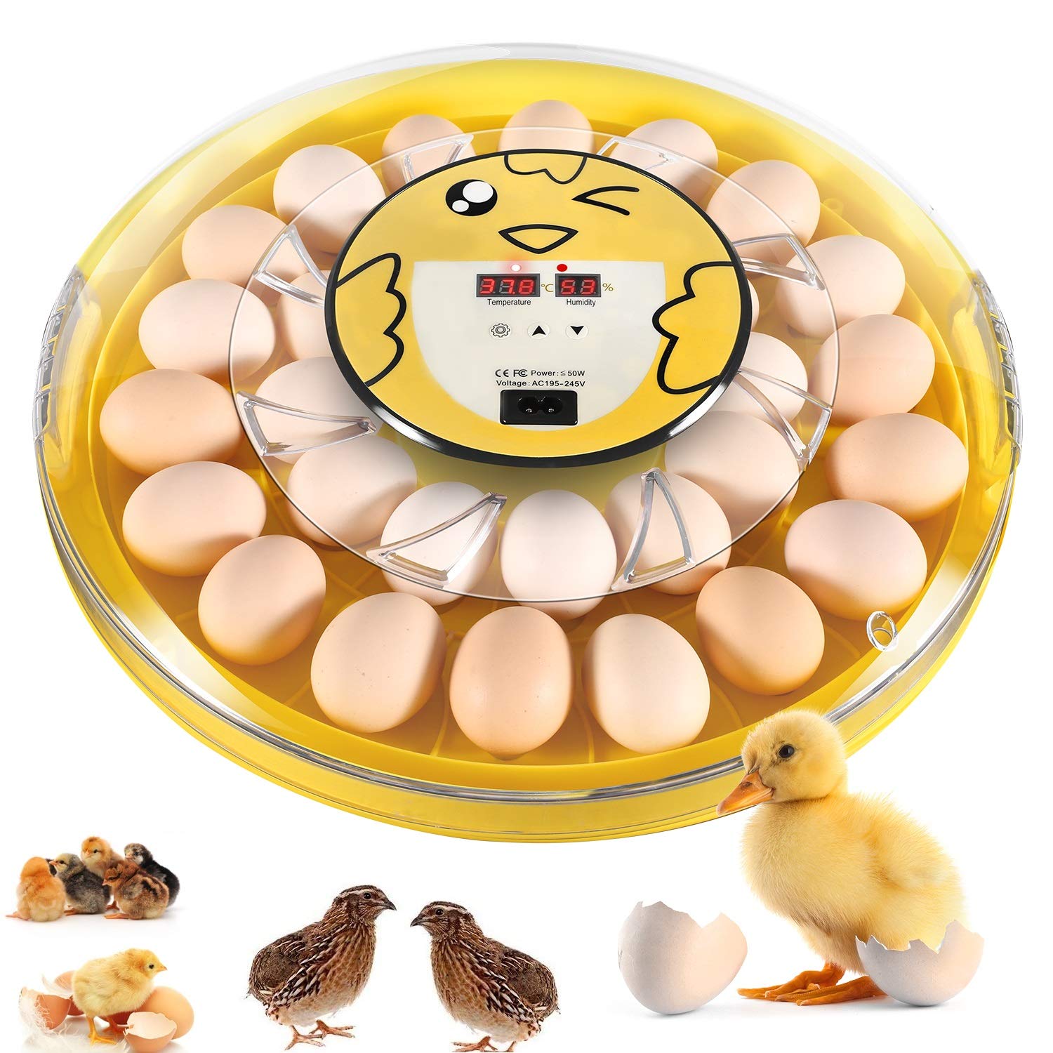 Buy 30 Egg Incubator for Hatching Eggs, Large Transparent Round Chicken