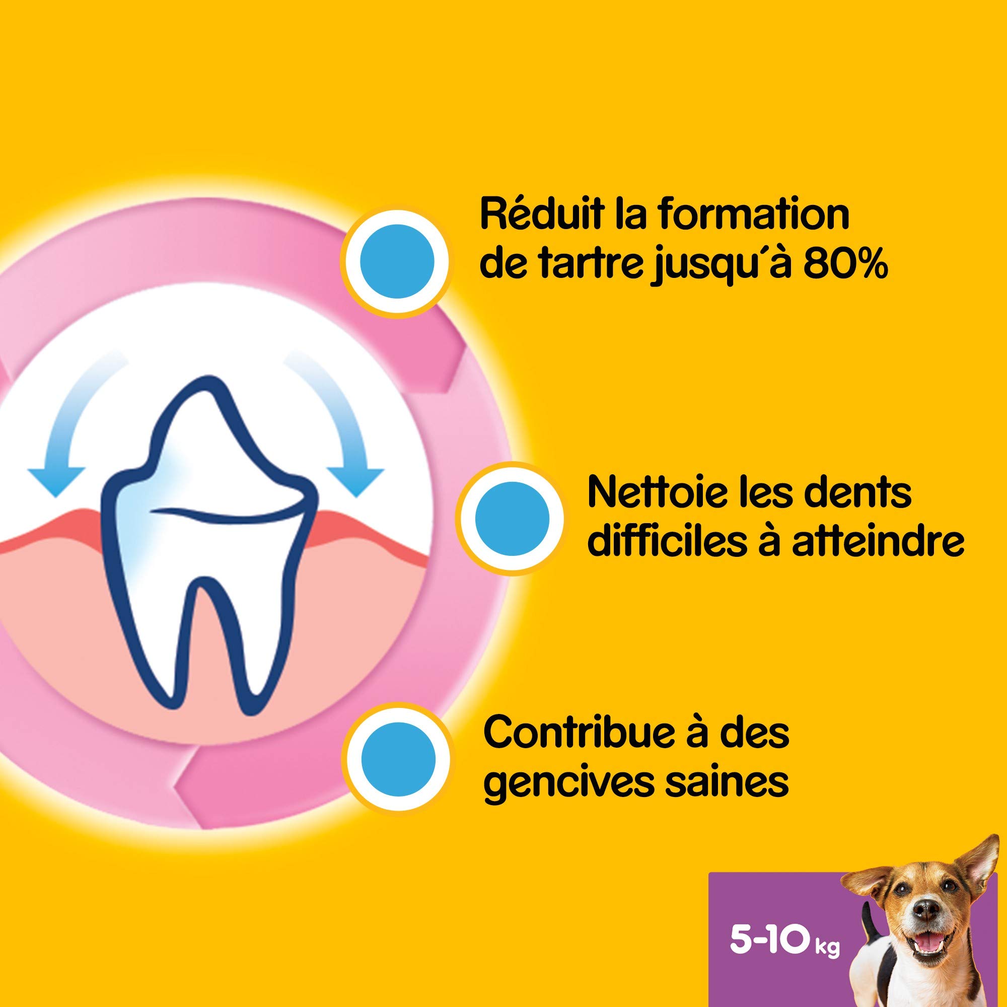 Pedigree Dentastix - Friandises pour petit chien, 56 bâtonnets à mâcher pour l'hygiène bucco-dentaire (1 boîte de 880 g / Total 56 Sticks)