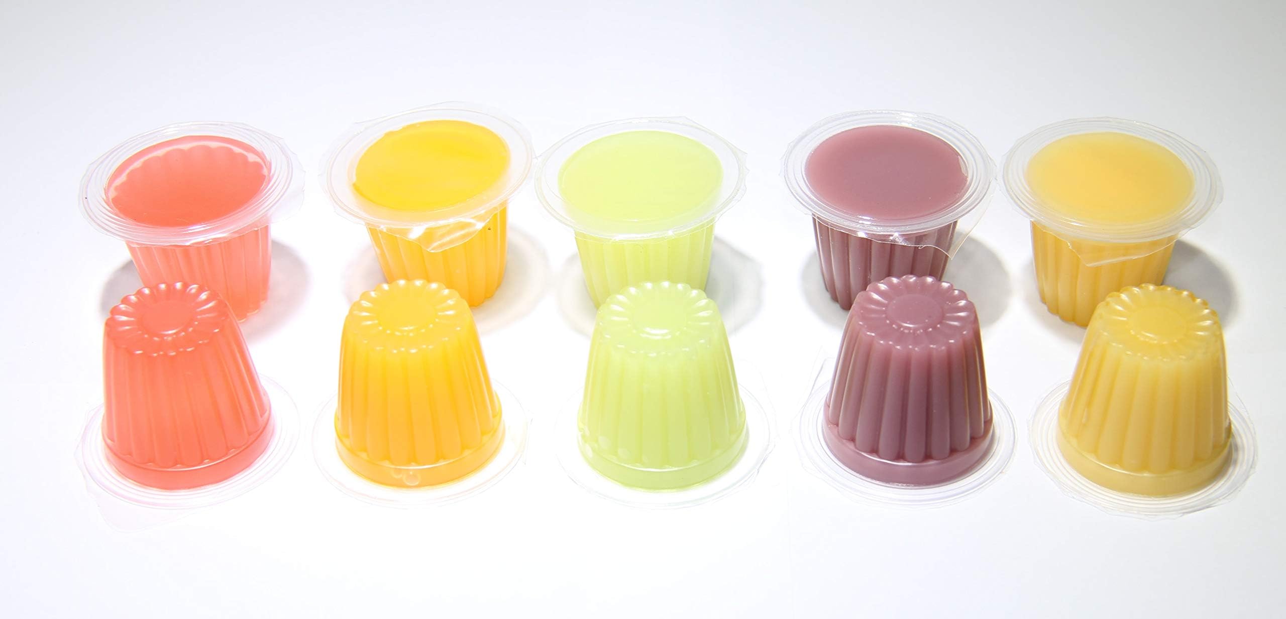 Jelly Fruit Pots Reptile Food - Protein Jelly Fruit Cups for Lizards, Gecko, Insects, Birds, Parrots - Bulk Packs (Fruit Mix, 10)