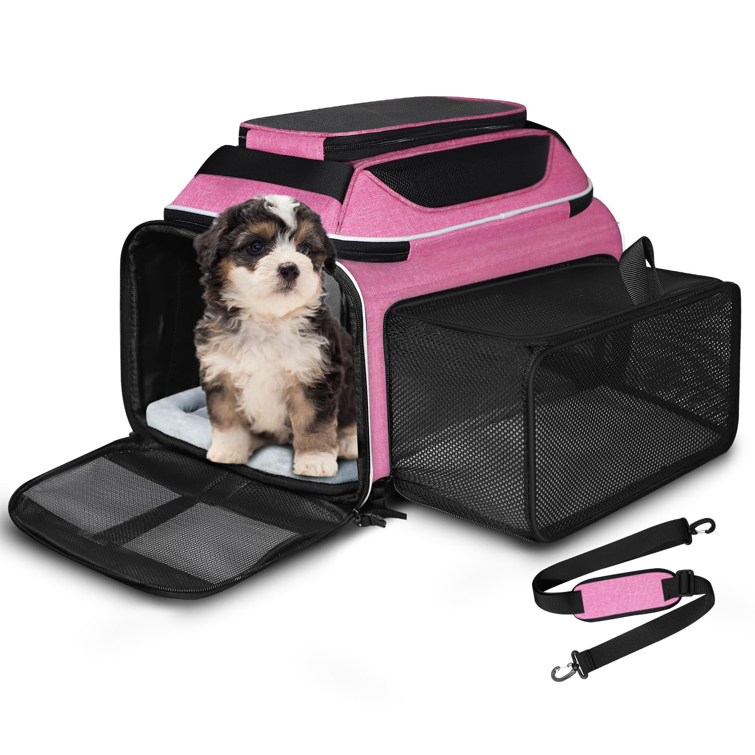 Amazon.com : Petskd Top and Side Expandable Pet Carrier 18x11x11