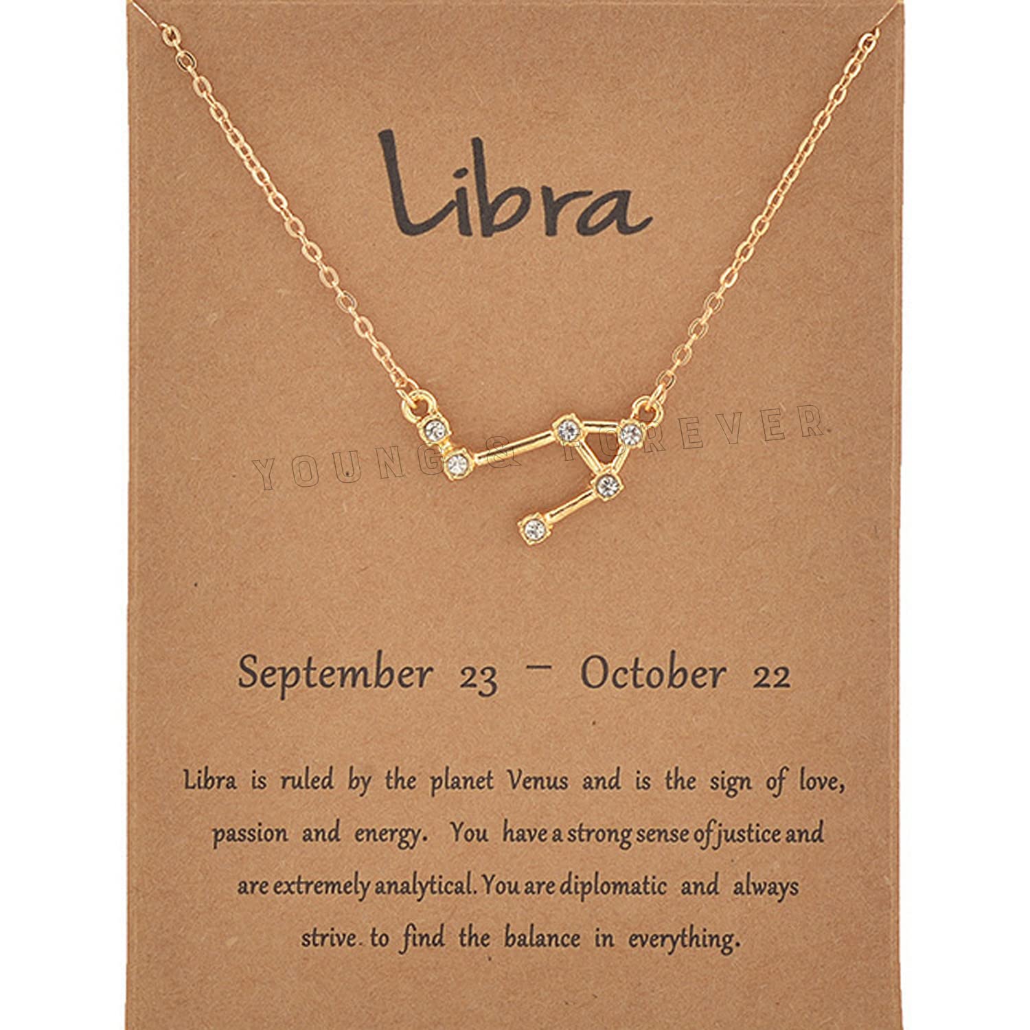 Young & Forever18K Gold Plated 12 Zodiac Sign Constellation Letter Pendant Necklace for Women Girls, 18" Birthday Gift